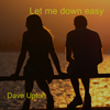 Album art for song 'Let me down easy'